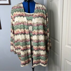 Alfred Dunner woman blouses size 3x   E